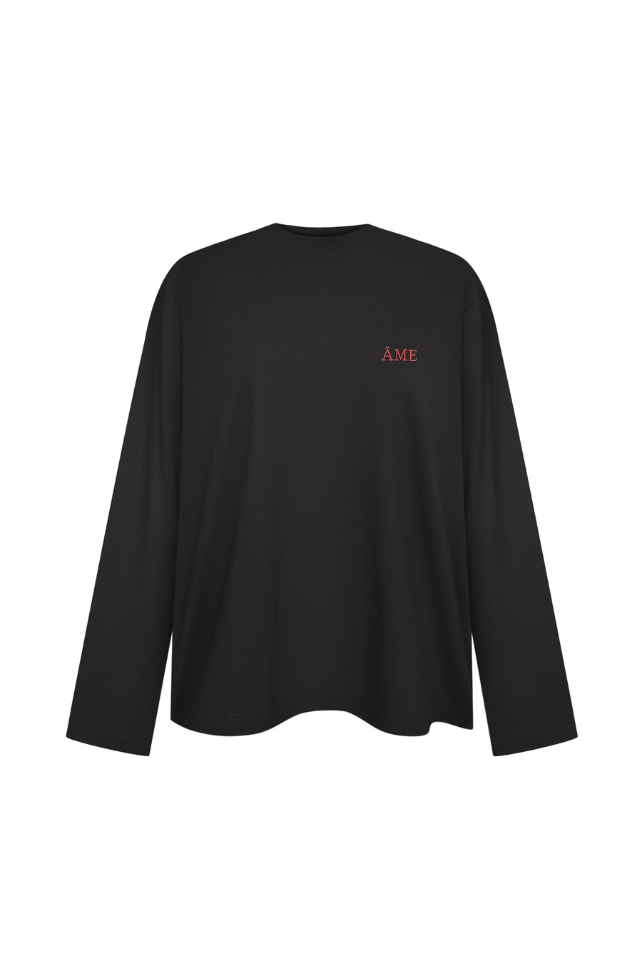 Oversized long sleeve top with embroidery